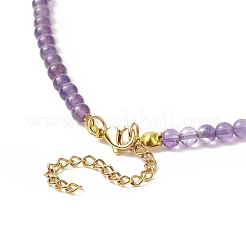 Natural Amethyst Beaded Necklaces&nbsp;NJEW-JN04226-05