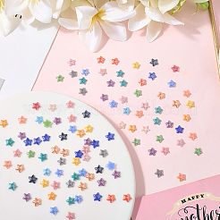 500Pcs Pearlized Plated Opaque Glass Cabochons&nbsp;GLAA-SC0002-82