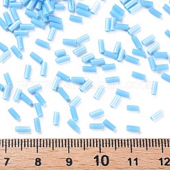 不透明色ガラスラッパビーズ  丸い穴  ディープスカイブルー  3~8x2mm  穴：0.7mm  約450g /ポンド&nbsp;SEED-N005-001-B05