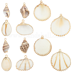 12Pcs 6 Styles Electroplate Sea Shell Pendants & 30Pcs ABS Plastic Imitation Pearl Charms Findings Kits&nbsp;SSHEL-BBC0001-06