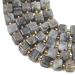 Natural Labradorite Beads Strands&nbsp;G-F832-A09-01