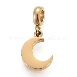Ion Plating(IP) 304 Stainless Steel Charms&nbsp;STAS-F259-014G