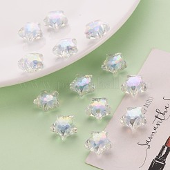 Transparent Acrylic Beads&nbsp;TACR-S152-02D-SS2113