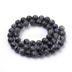 天然ラルビカイトビーズ連売り  ラウンド  6mm  穴：1mm  約59~61個/連  15インチ&nbsp;G-S259-06-6mm