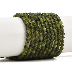 Natural Canadian Jade Beads Strands&nbsp;G-C281-A01-4mm