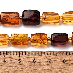 Gradient Color Natural Amber Beads Strands&nbsp;G-F803-D01-03
