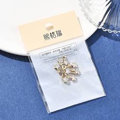SHEGRACE Brass Clear Cubic Zirconia Charms&nbsp;XGRQ2O627-423G