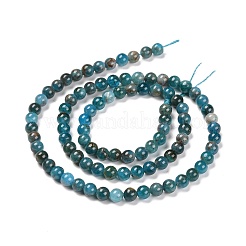 Natural Apatite Beads Strands&nbsp;G-D856-01-4mm