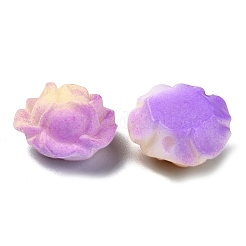 Resin Beads&nbsp;RESI-F046-01