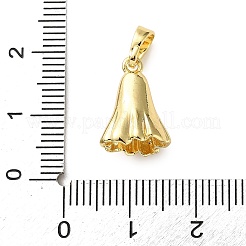 Brass Micro Pave Cubic Zirconia Pendants&nbsp;KK-I383-07G-01