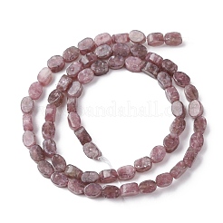Natural Lepidolite/Purple Mica Stone Beads Strands&nbsp;G-H343-A01-01