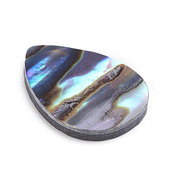 Natural Abalone Shell/Paua Shell Cabochons&nbsp;X-SSHEL-L017-002