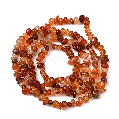 Natural Red Agate Beads Strands&nbsp;G-L655-A01-01B
