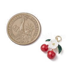 Alloy Enamel Pendants&nbsp;PALLOY-JF04429