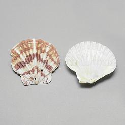 Sea Shell Big Pendants&nbsp;SSHEL-Q299-003