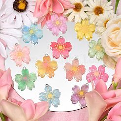 24Pcs 12 Colors Translucent Resin Pendants&nbsp;RESI-CJ0002-50