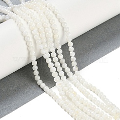 Natural Cultured Freshwater Shell Beads Strands&nbsp;BSHE-H109-03B
