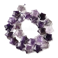 Natural Amethyst Quartz Beads Strands&nbsp;G-NH0005-030