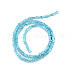 Natural Freshwater Shell Beads Strands&nbsp;SHEL-G013-02C