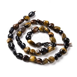 Natural Tiger Eye Beads Strands&nbsp;G-A208-06