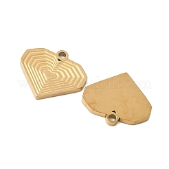 304 Stainless Steel Charms&nbsp;STAS-V015-47G
