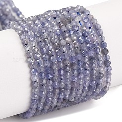 Natural Tanzanite Beads Strands&nbsp;G-F770-C04-03