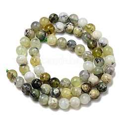 Natural Green Opal Beads Strands&nbsp;G-R494-A11-02