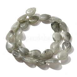 天然石ラブラドライトビーズ連売り  ティアドロップ  16x12x5~6mm  穴：1mm  約25個/連  15.16''~15.75''（38.5~40センチメートル）&nbsp;G-P561-B05-01