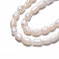 天然養殖淡水パールビーズ連売り  ライス  貝殻色  3.5~6x3~4mm  穴：0.7mm  約60~72個/連  12.99インチ〜13.78インチ（33cm〜35cm）&nbsp;LS-PEAR-N012-03C