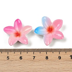 不透明な樹脂エナメルカボション  花  ツートン  ミックスカラー  21x23x7mm&nbsp;CRES-D308-09