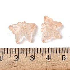Glass Beads&nbsp;GLAA-C039-01C