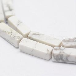Natural Howlite Beads Strands&nbsp;G-E342-15