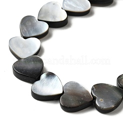 Natural Black Lip Shell Beads Strands&nbsp;BSHE-D300-06A