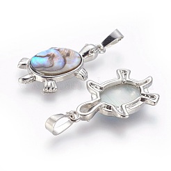 Abalone Shell/Paua Shell Pendants&nbsp;SSHEL-L008-62A