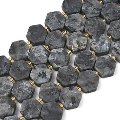 天然ラルビカイトビーズ連売り  六角形  シードビーズで  12~12.5x13.5~14.5x6~6.5mm  穴：0.8~1mm  約27~29個/連  15.71''（39.9センチメートル）&nbsp;G-A291-A02-01