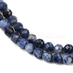 Natural Sodalite Beads Strands&nbsp;G-G281-B04-6mm