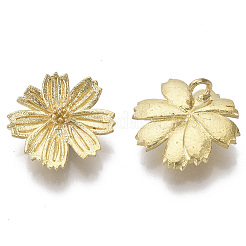 Brass Charms&nbsp;KK-T057-005-NF