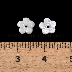 ナチュラルホワイトシェルビーズ  花  ホワイト  8x8.5x2mm  穴：0.8mm&nbsp;SH-CBA93AD-07A