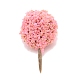 Plastic Model Ornament&nbsp;AJEW-WH0254-18E-1