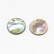 Paua Shell Charms&nbsp;SSHEL-R041-37-3