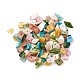 Shell Beads&nbsp;BSHE-I008-13-1