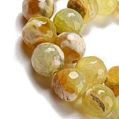 Faceted Natural Fire Crackle Agate Beads Strands&nbsp;X-G-F447-12mm-H01