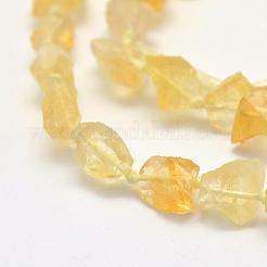 Rough Raw Natural Citrine Beads Strands&nbsp;G-K202-21
