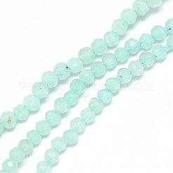 Natural Amazonite Bead Strands&nbsp;G-G914-2mm-14