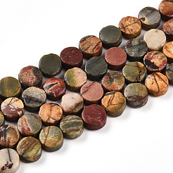 Natural Picasso Jasper/Polychrome Jasper Beads Strands&nbsp;G-N346-06A-04