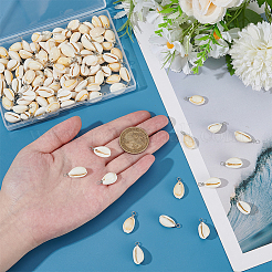 120Pcs Natural Cowrie Shell Pendants&nbsp;PALLOY-ME00018