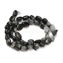 Natural Eagle Eye Stone Beads Strands&nbsp;G-D108-A02-03