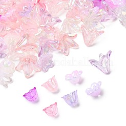 Mixed Styles Acrylic Bead Caps&nbsp;OACR-FS0002-50A