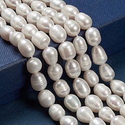 天然養殖淡水パールビーズ連売り  ライス  リネン  9~12x8.5~9mm  穴：0.5mm  約15~19個/連  7.08''（17.98センチメートル）&nbsp;PEAR-N012-08N