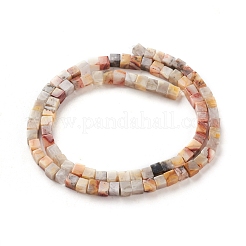 Natural Crazy Lace Agate Beads Strands&nbsp;G-F631-K03